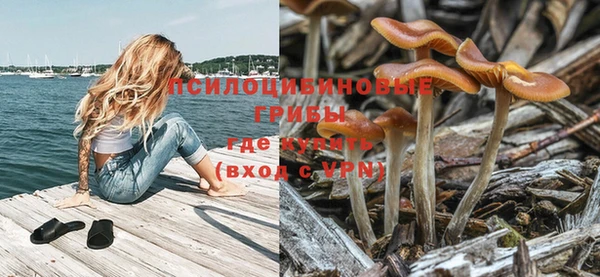 дурь Медвежьегорск