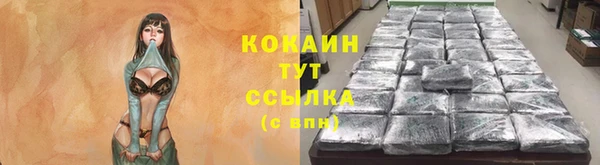 твердый Алзамай