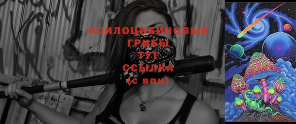 дурь Медвежьегорск