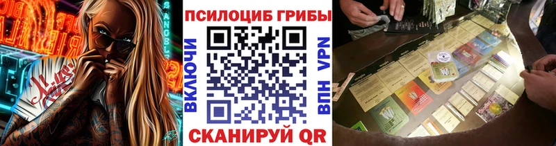 продажа наркотиков  Трубчевск  Галлюциногенные грибы Psilocybe 